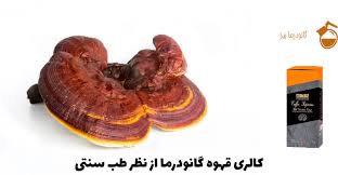 گانودرما | قهوه قهوه گانودرما در طب سنتی: پیوند علم کهن و ترکیبات نوین