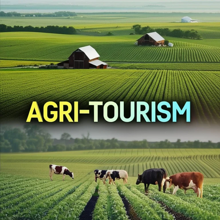 گردشگری گردشگری کشاورزی agri-tourism
