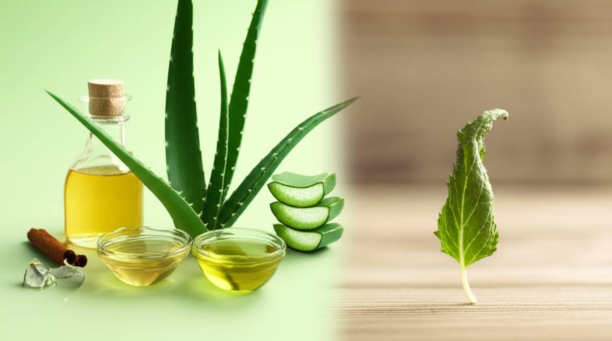 درمان های خانگی زگیل تناسلی: مزایا در برابر عوارض جانبی.