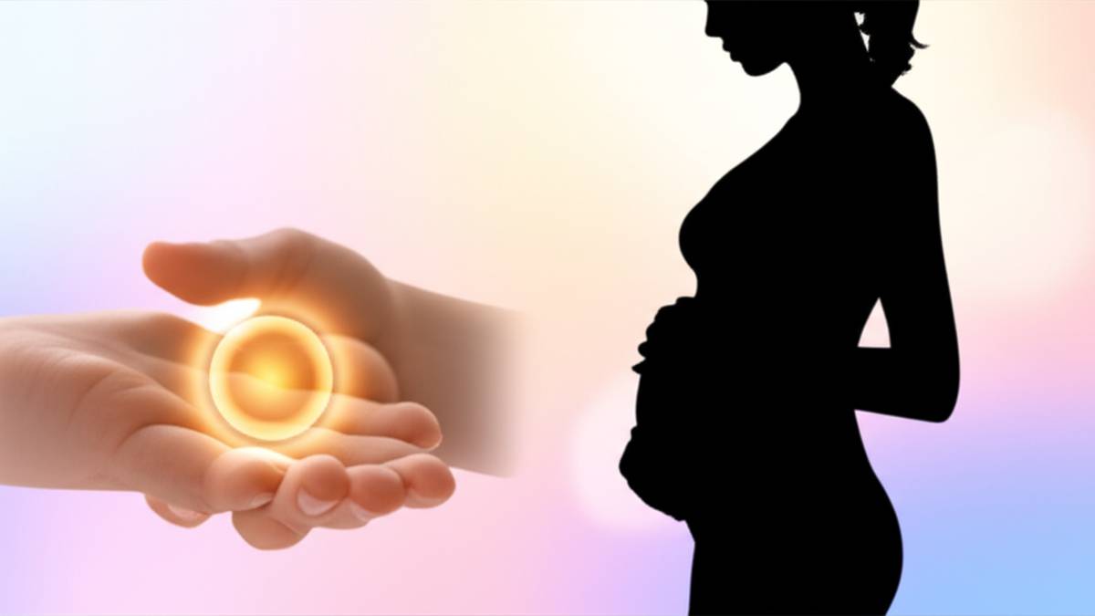 تخمک اهدایی: فرآیند، شرایط و هر آنچه باید بدانید